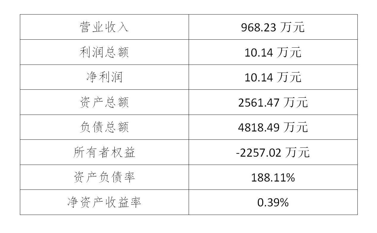 2020年度财务信息公示_01(1).jpg